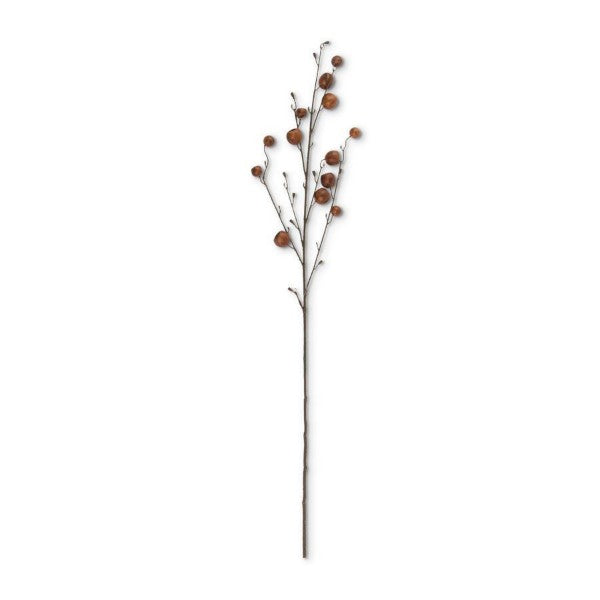 Brown Pod Stems