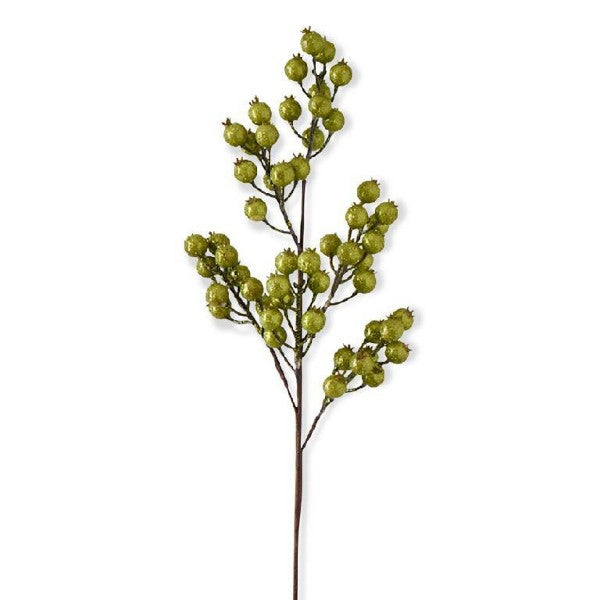 Crackle Rosehip Stem