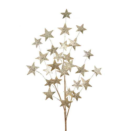 Gold Foil Star Spray