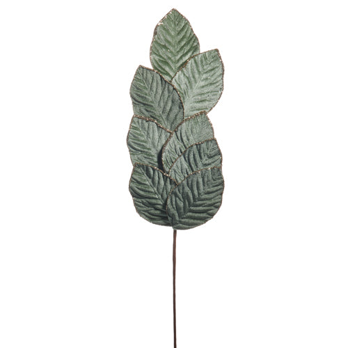 Decorative leaf with a textured surface on a white background