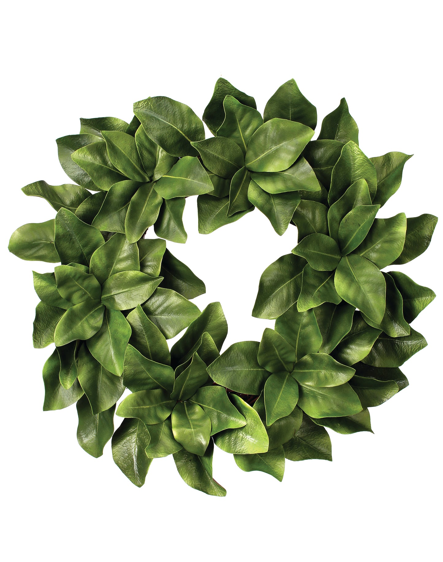 Magnolia Leaf Wreath