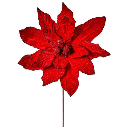 Red poinsettia flower on a white background