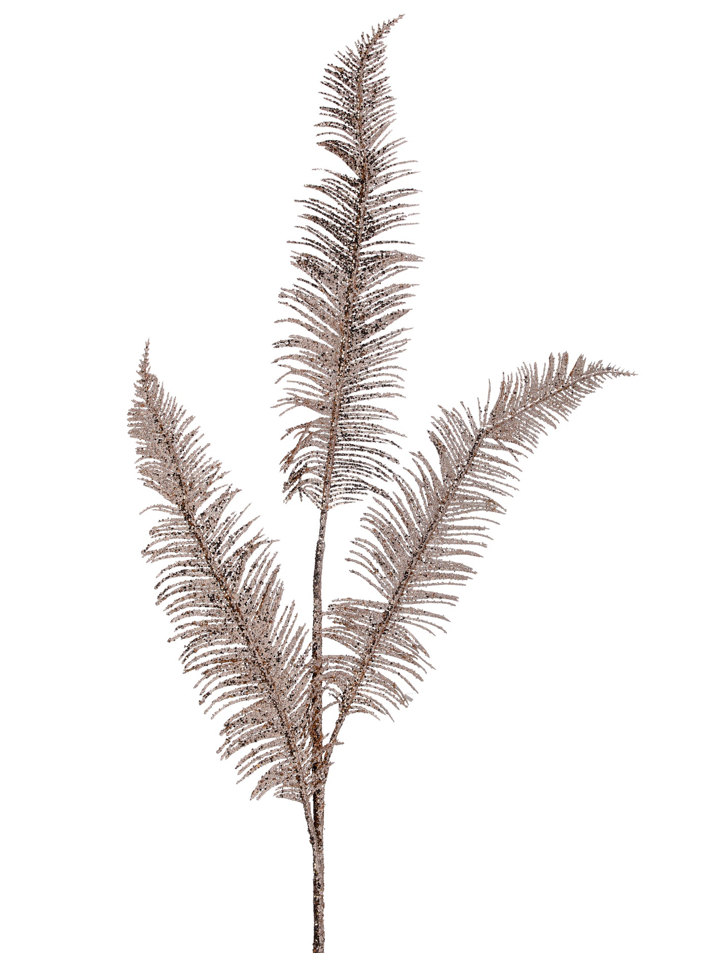 Jewel Fern Spray