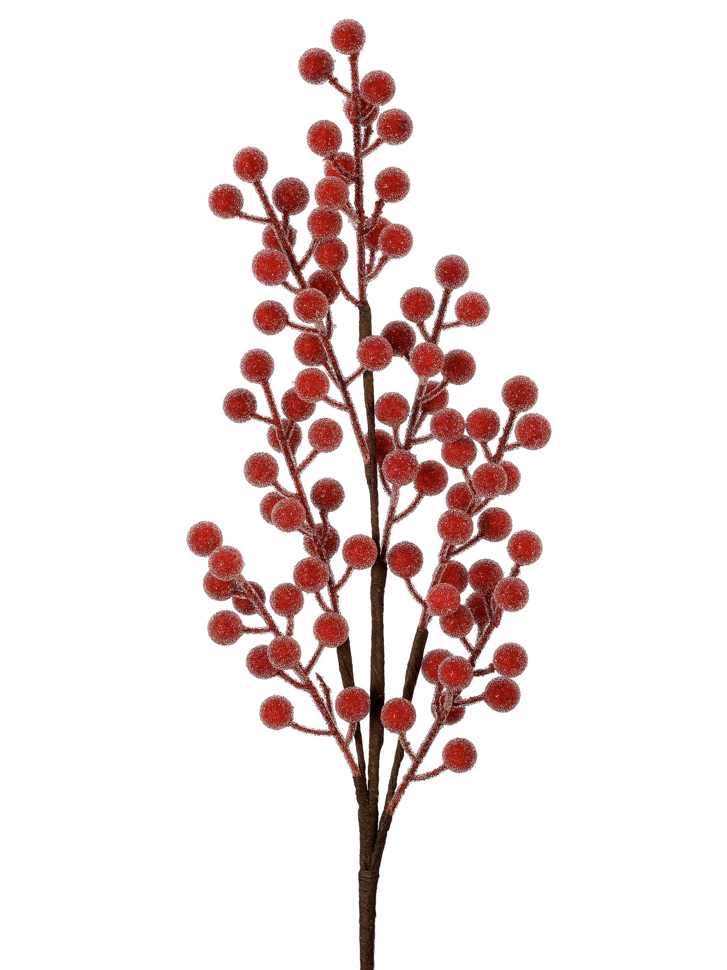 Beaded Berry Ball Spray