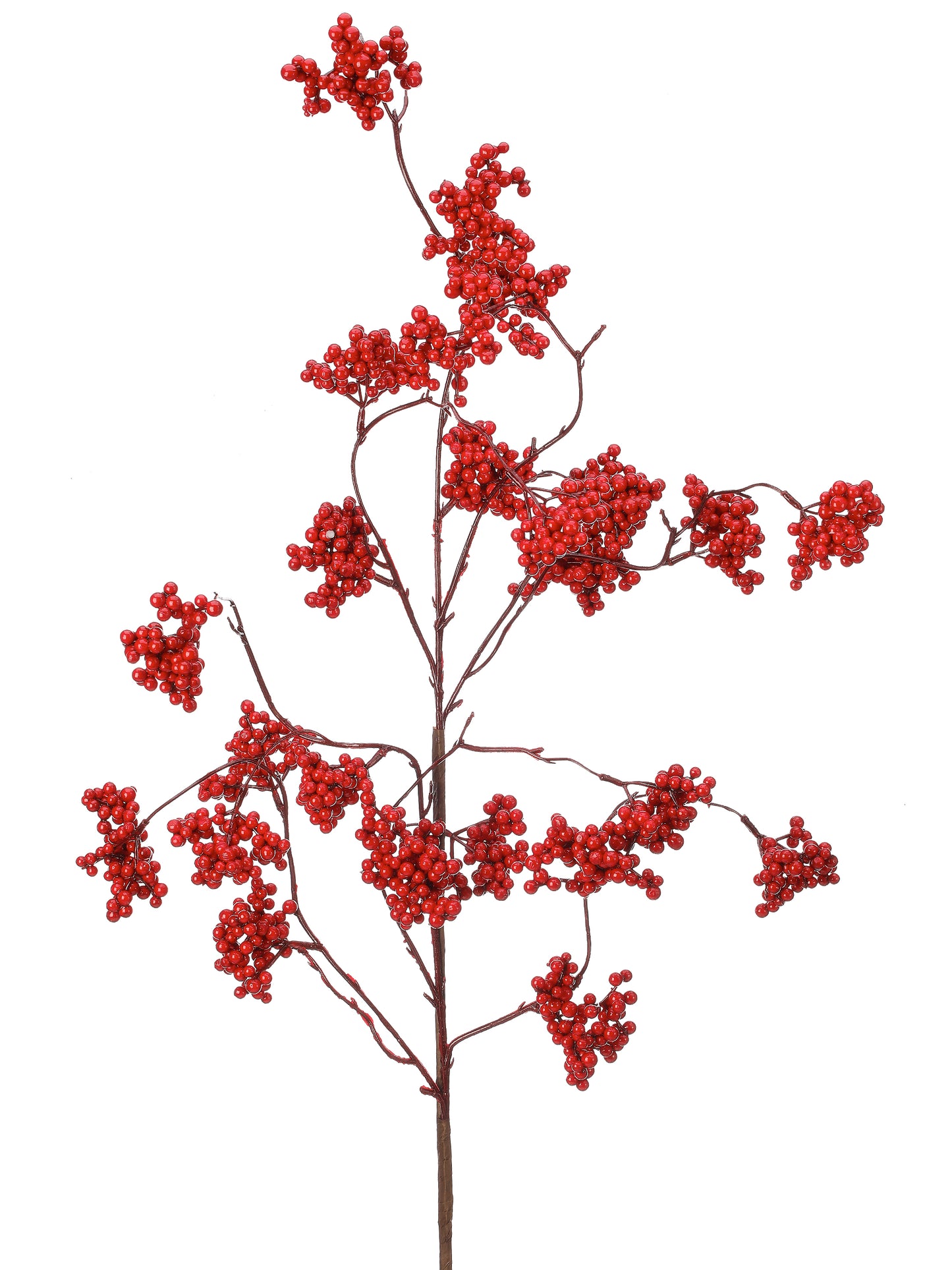Wild Forest Berry Spray