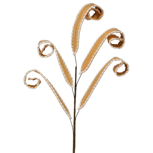 Decorative branch with curved leaves on a white background