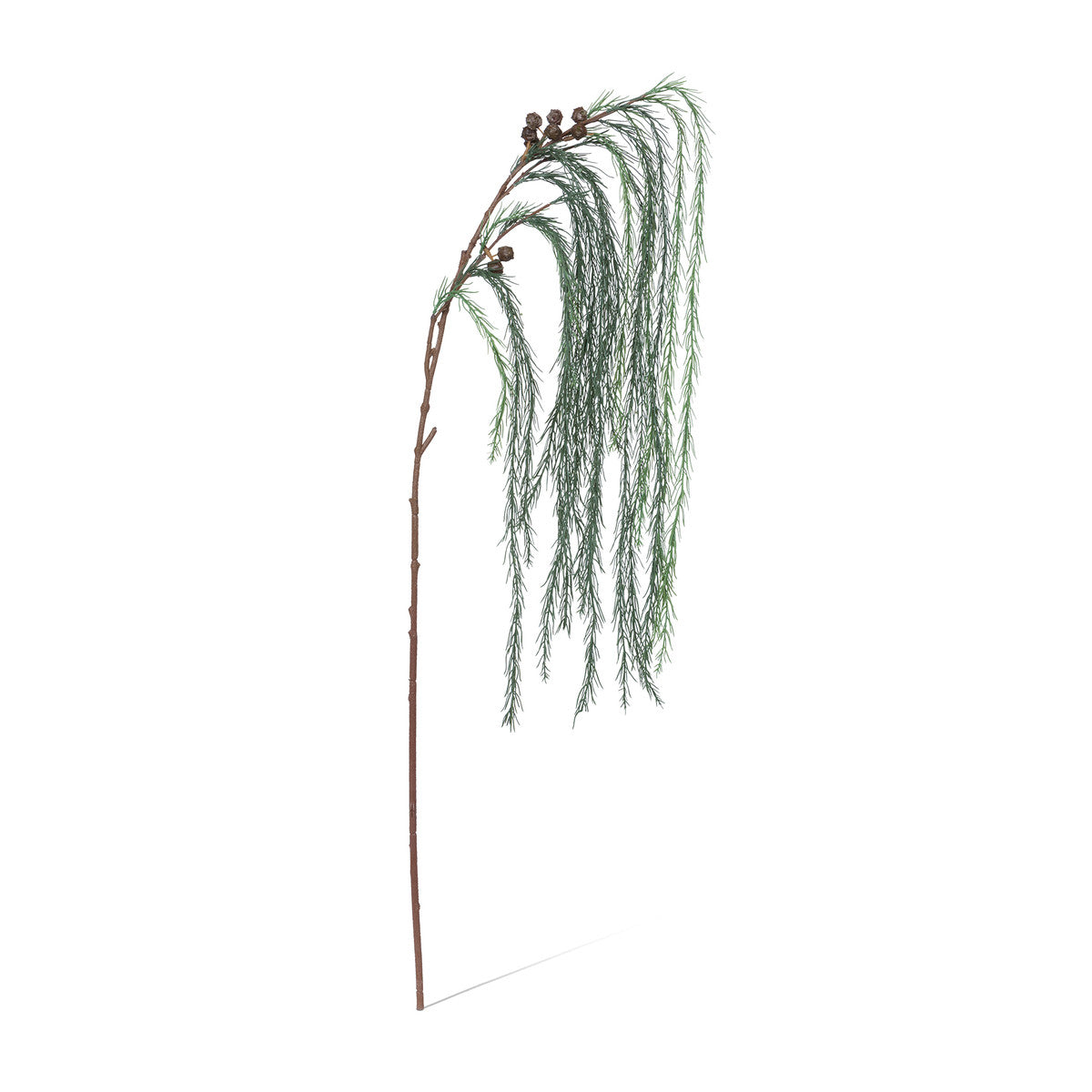 Weeping White Pine Spray