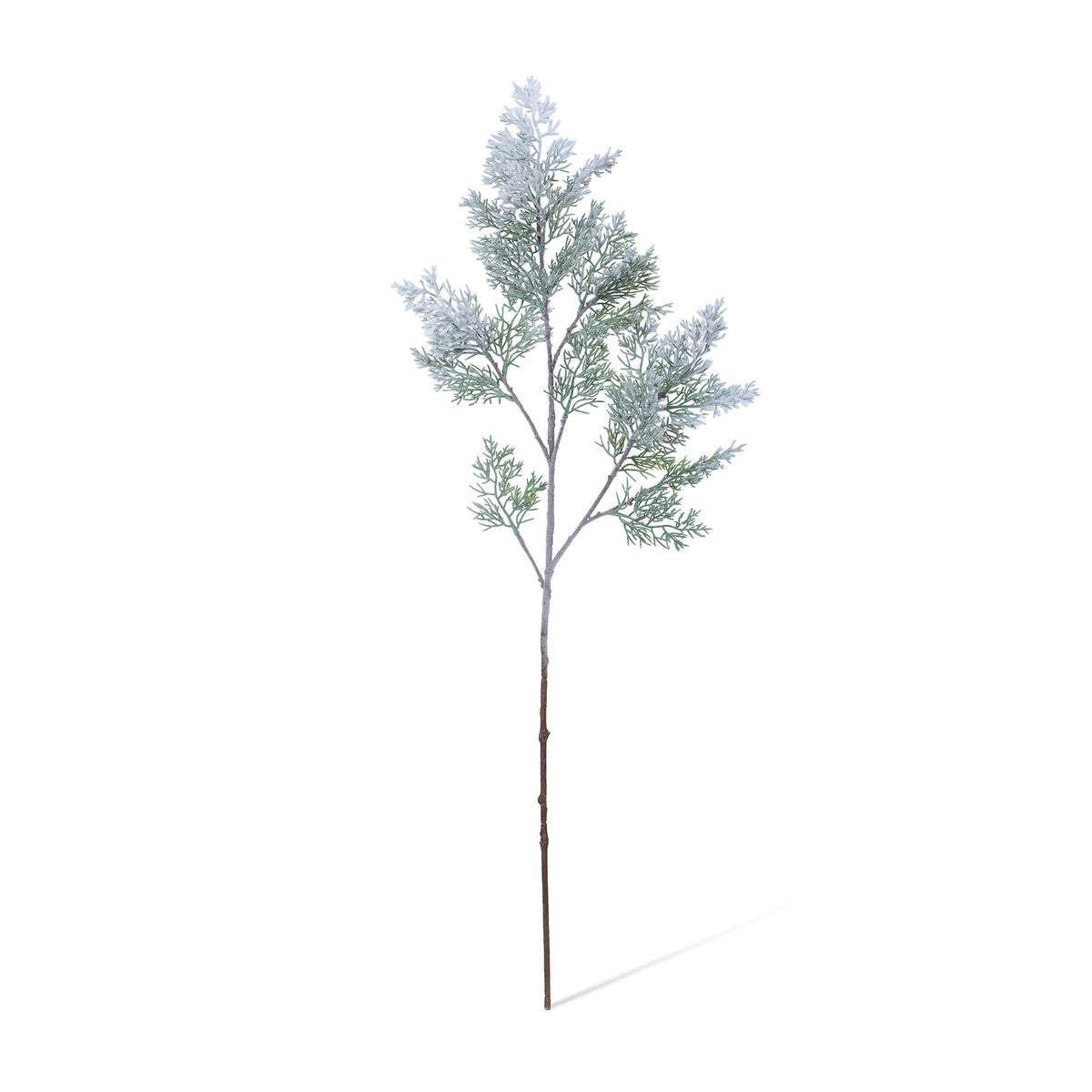 Frosted Cedar Spray