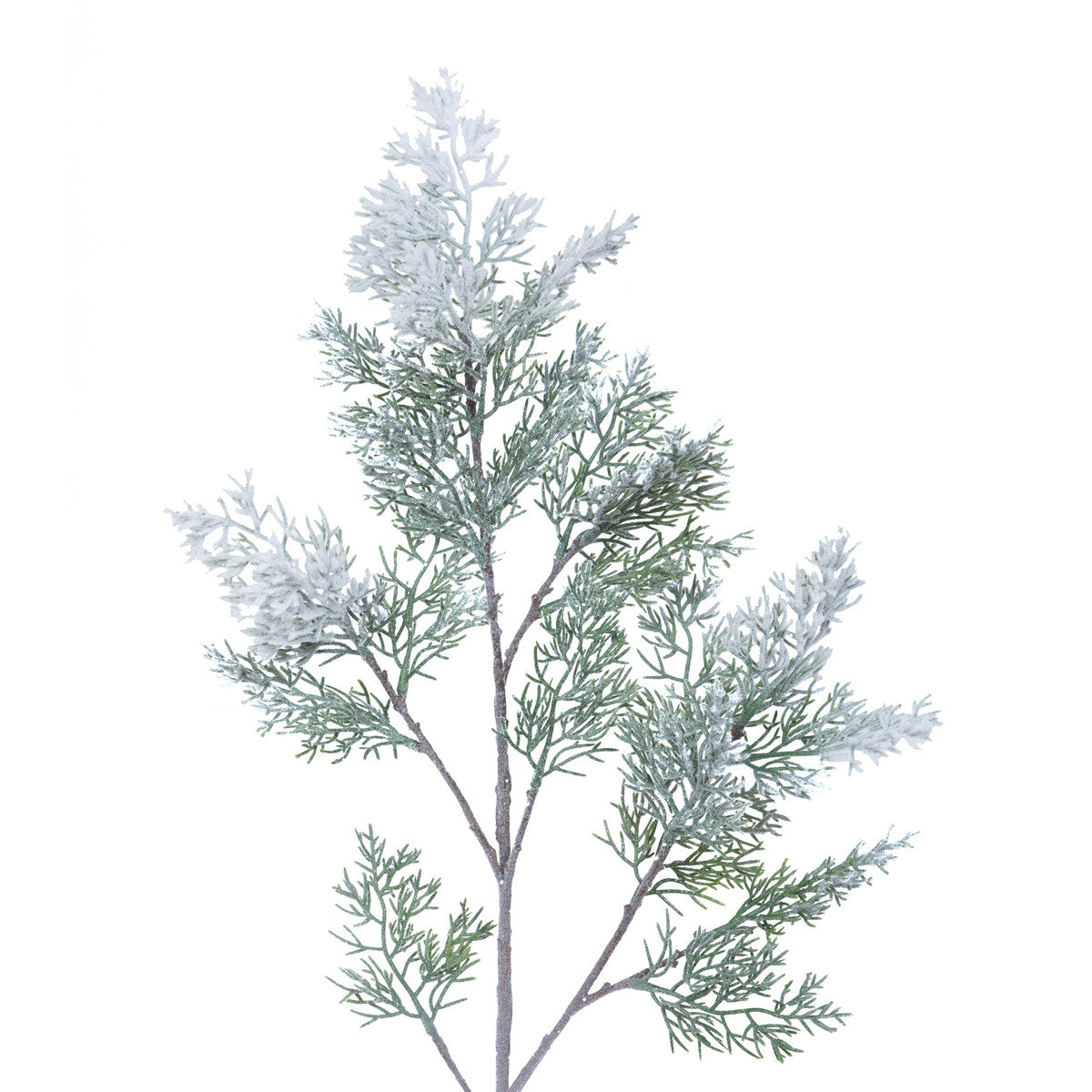 Frosted Cedar Spray