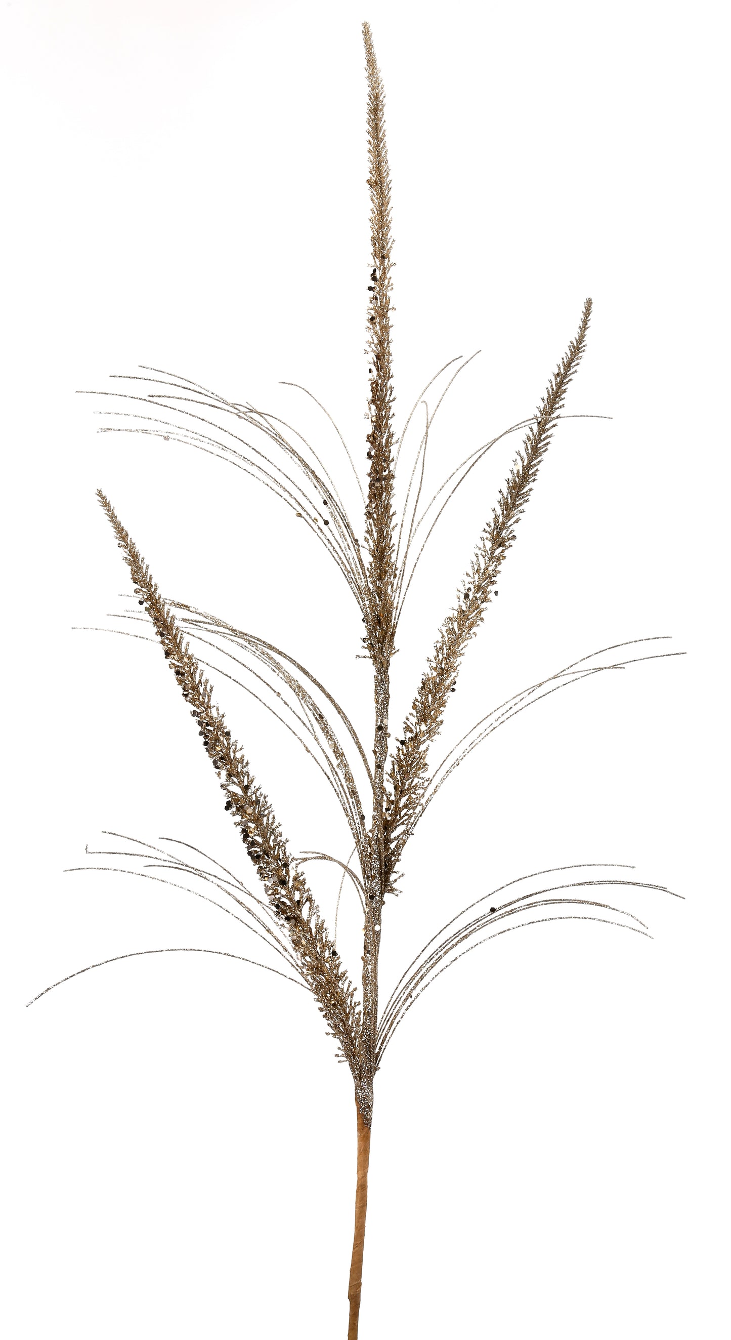 Triple Spike Grass Spray