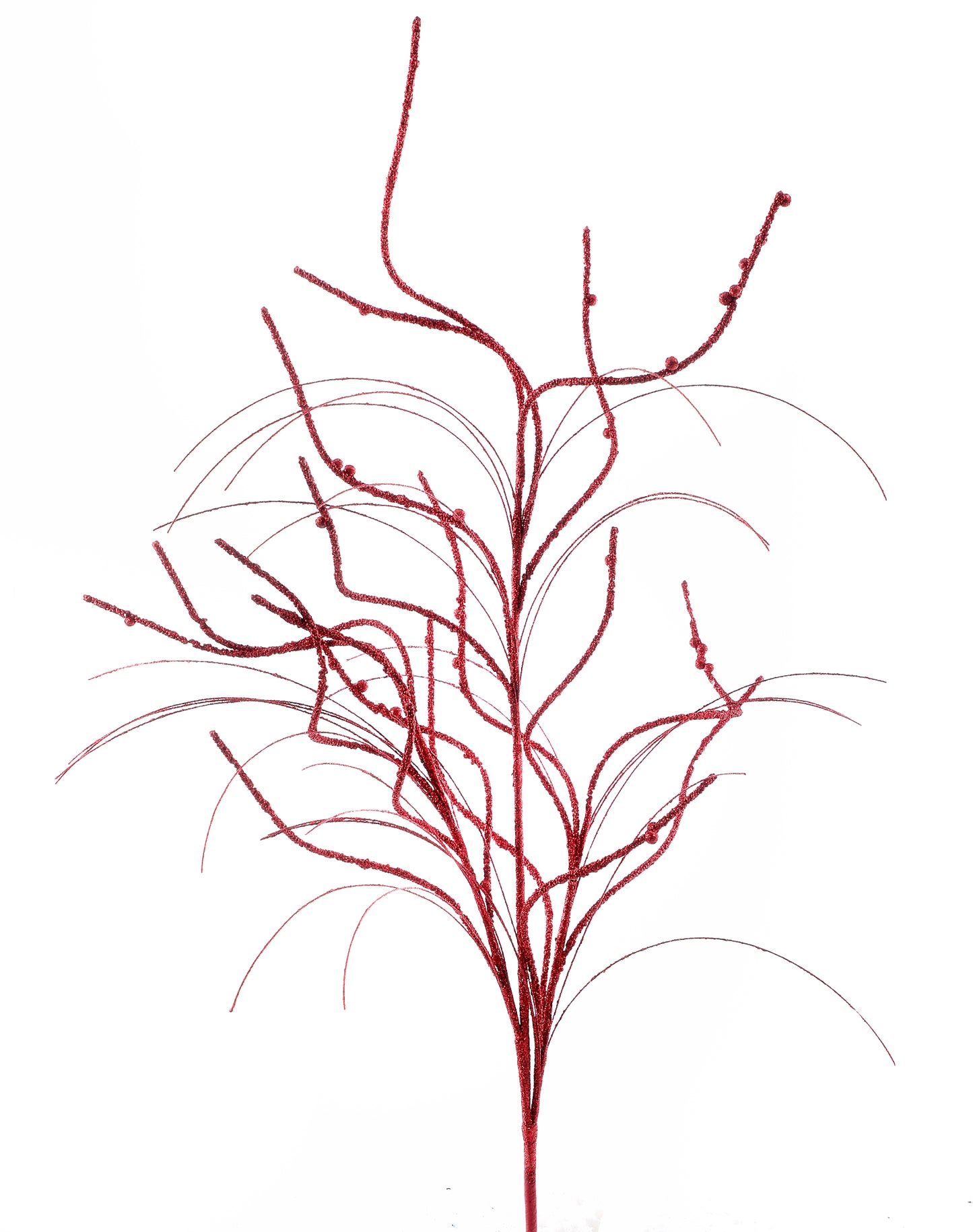 Curly Willow Grass Spray