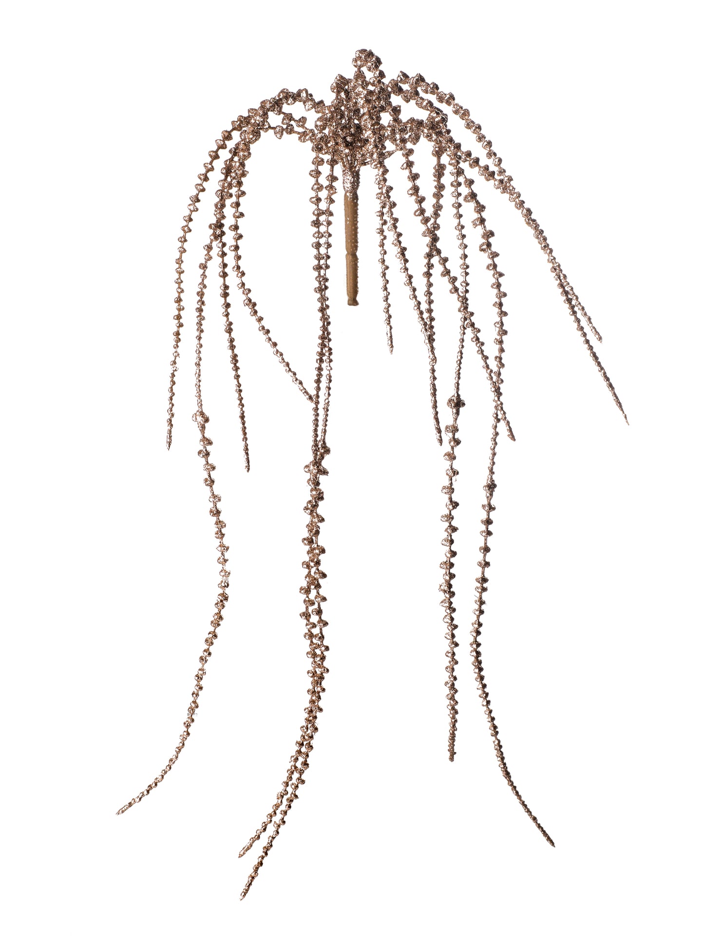 Senecio Hanging Vine