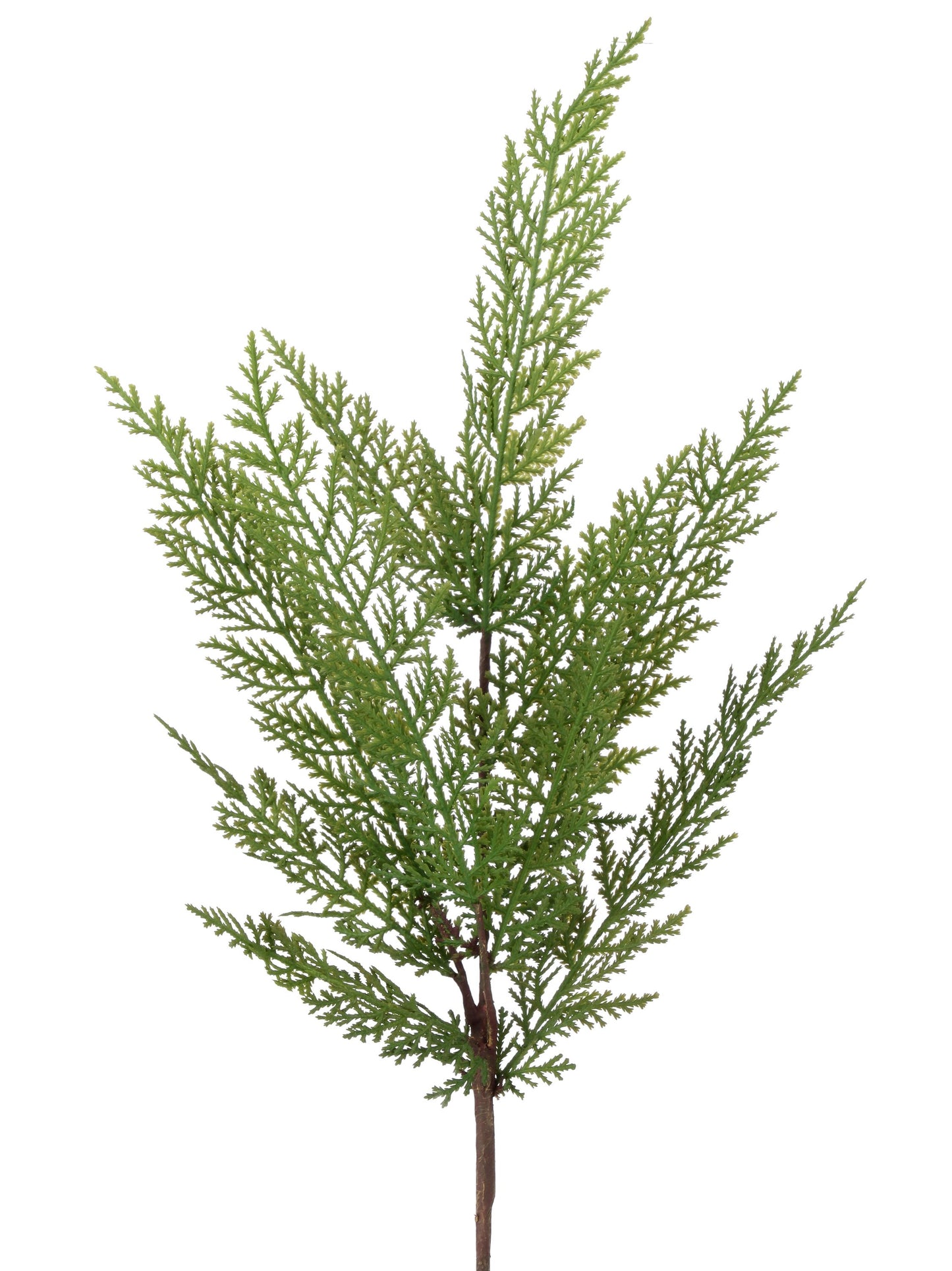 24" Real Touch Lebanon Cedar Spray