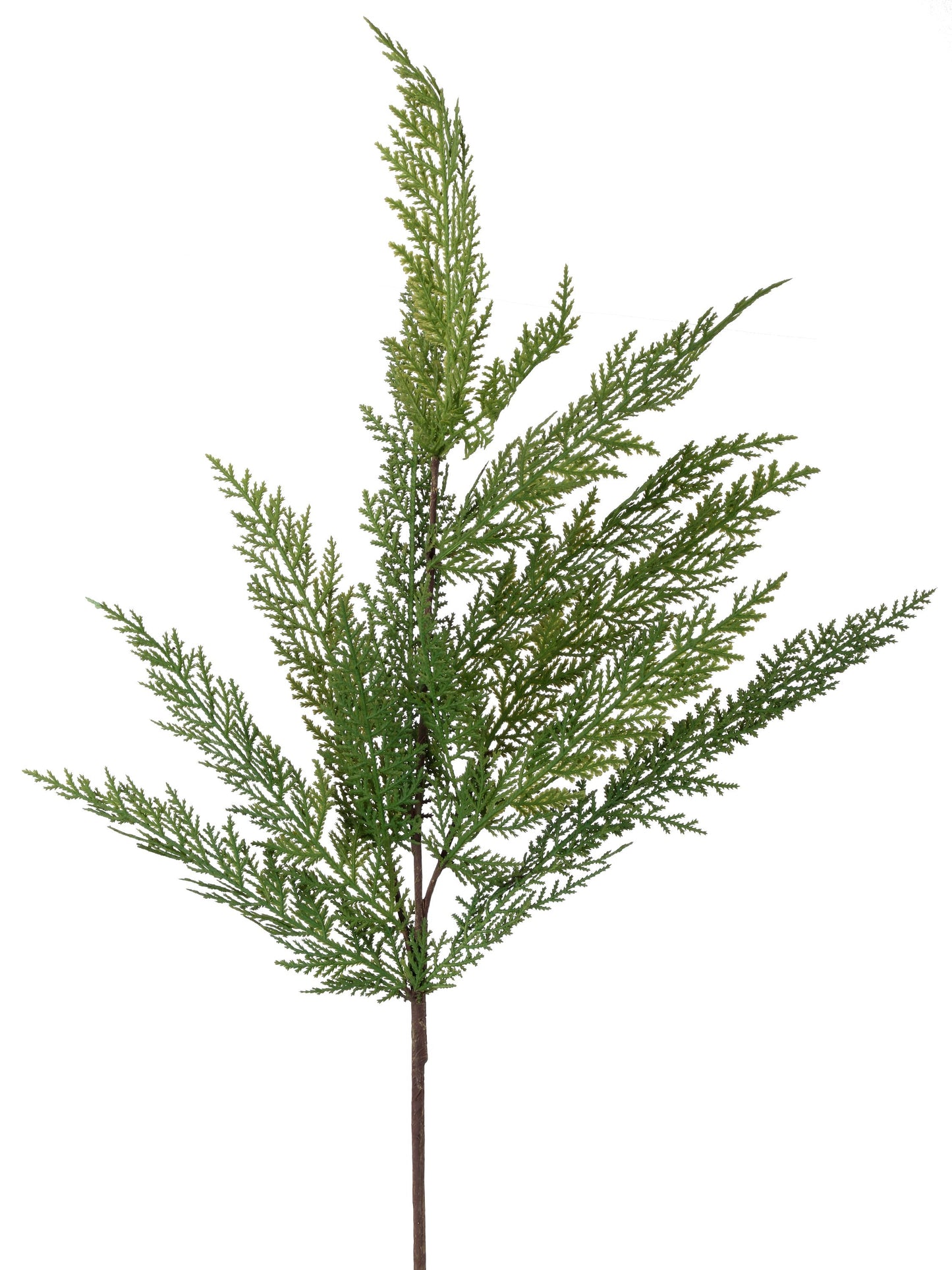 36" Real Touch Lebanon Cedar Spray