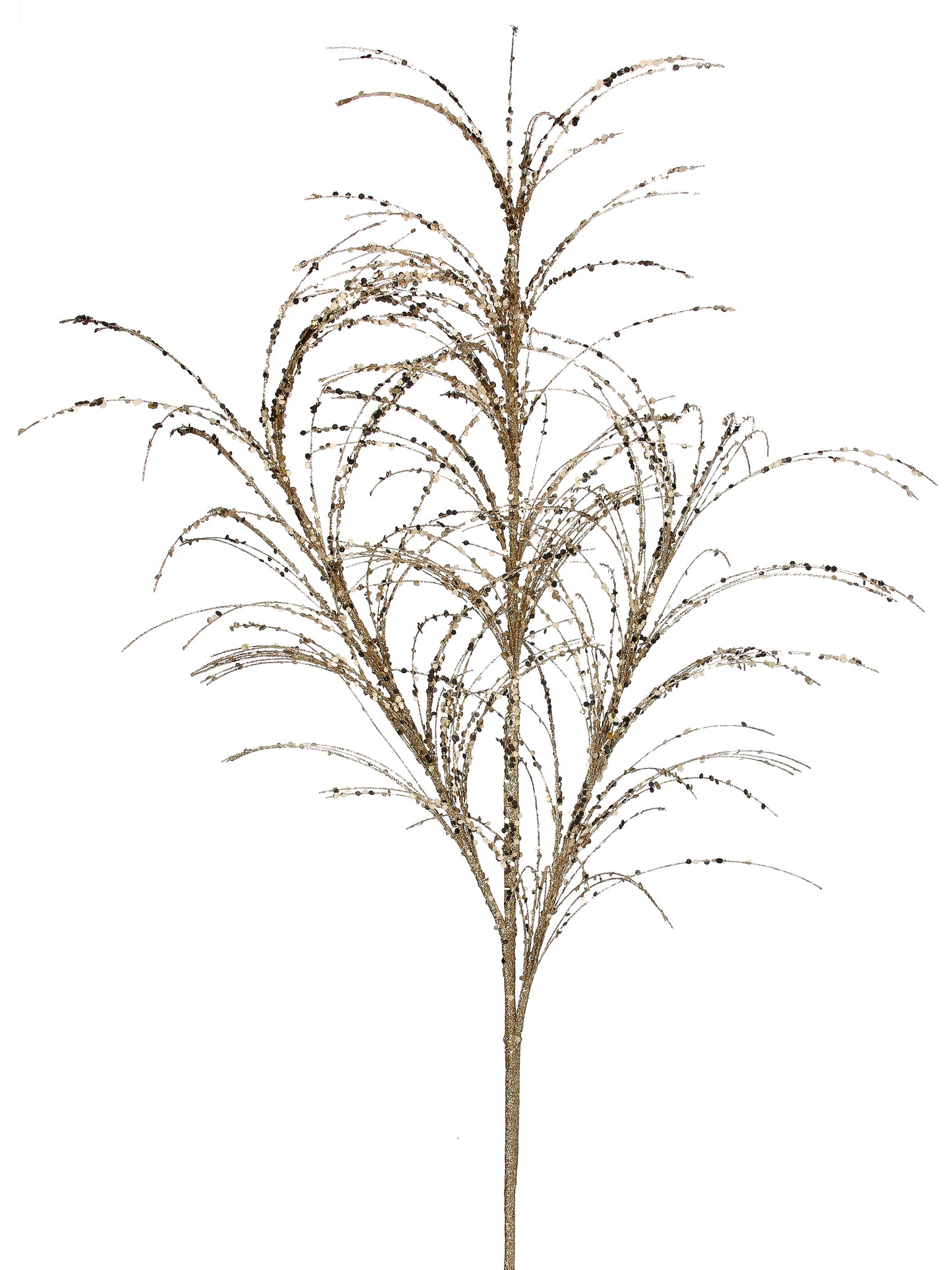 Pampas Grass Spay