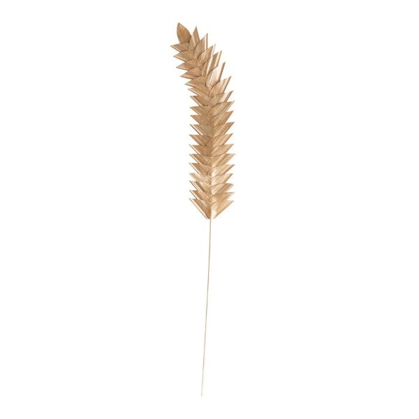32" Dried Natural Buri Palm Pick