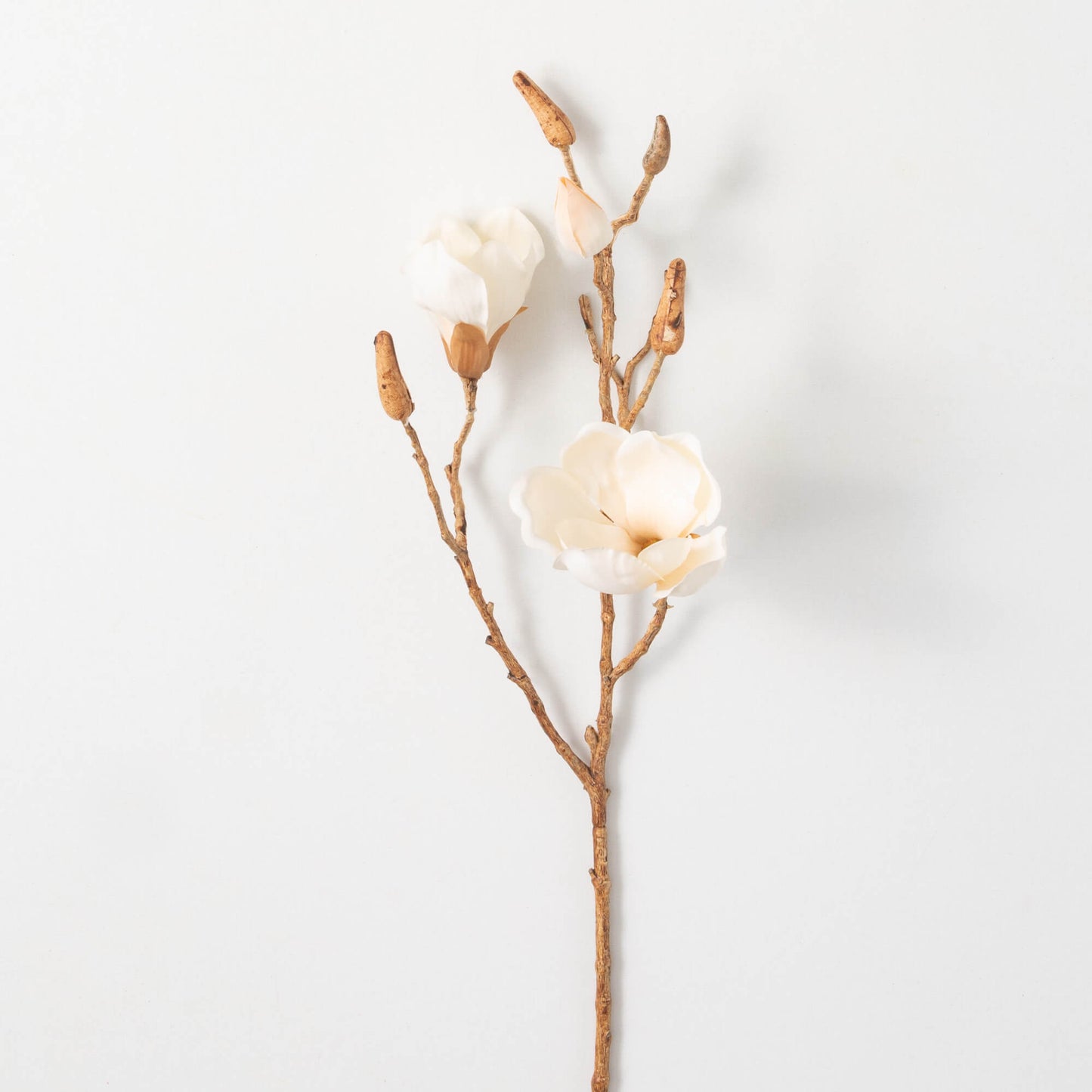 Magnolia Spray