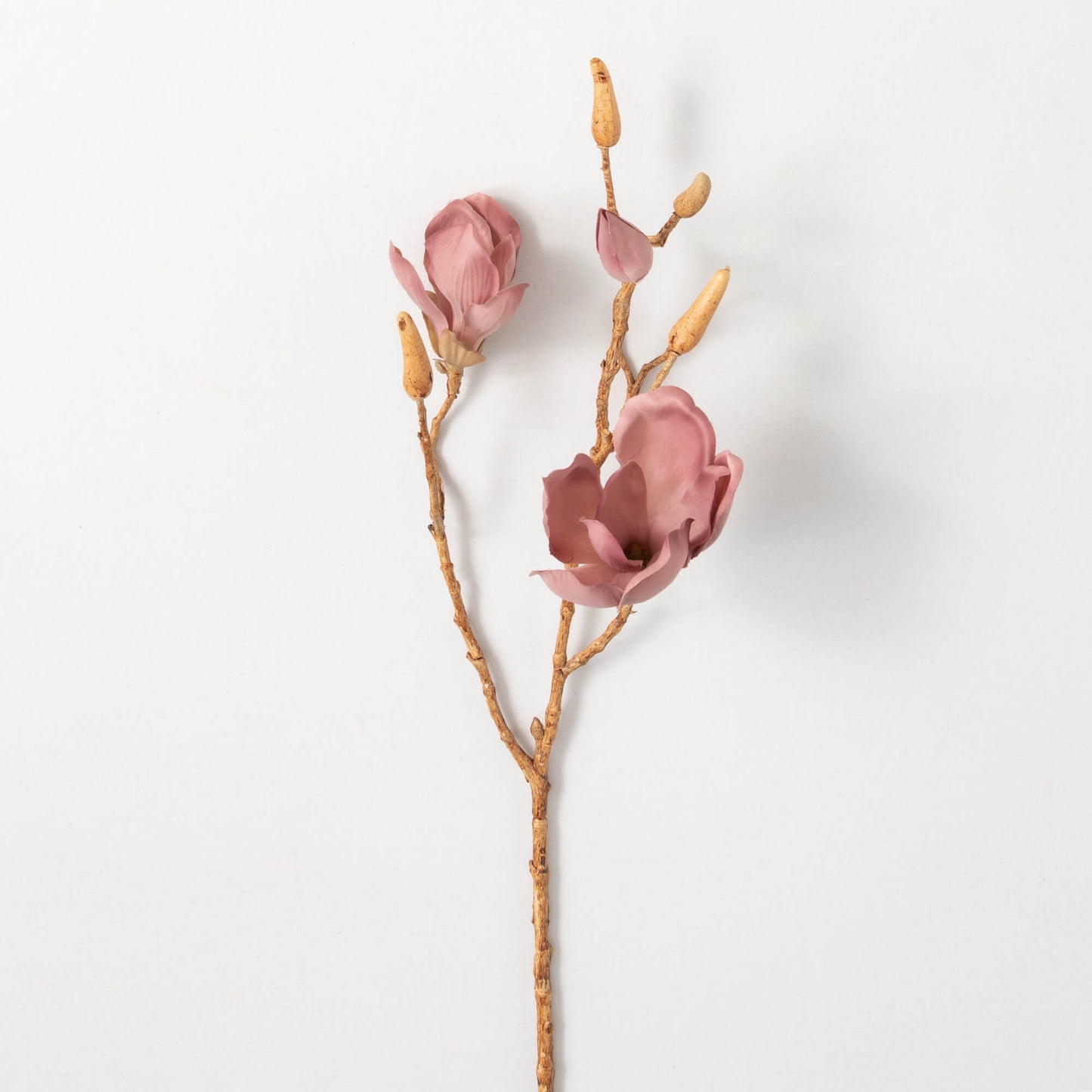 Magnolia Spray