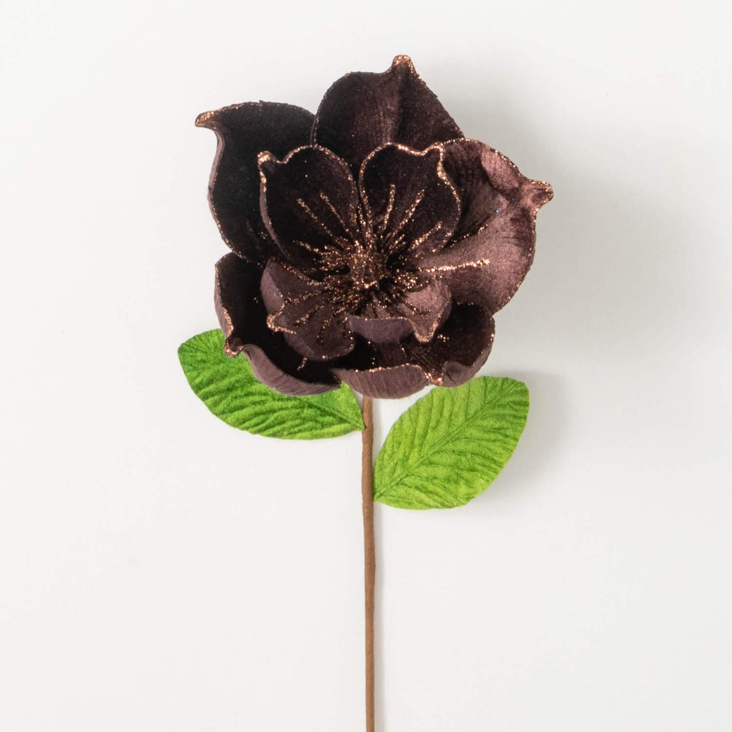 Magnolia Stem