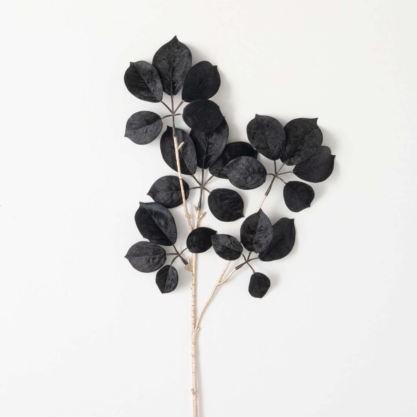 Schefflera Spray