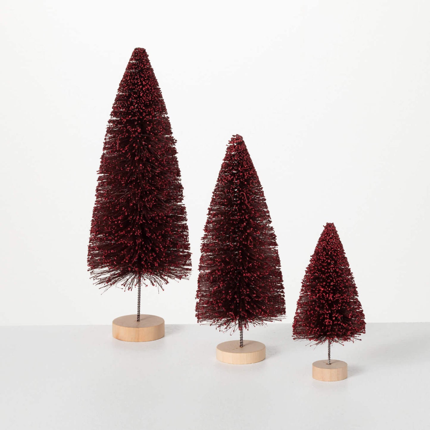 Bottle Brush Tree