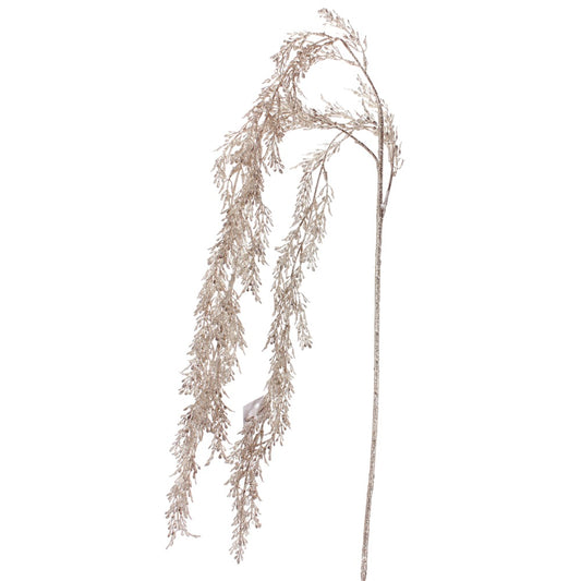 Decorative plant with long, thin leaves on a white background
