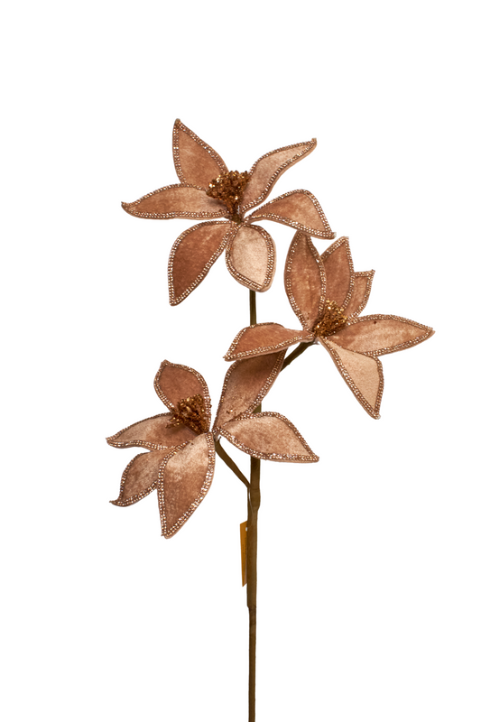 Flower Stem