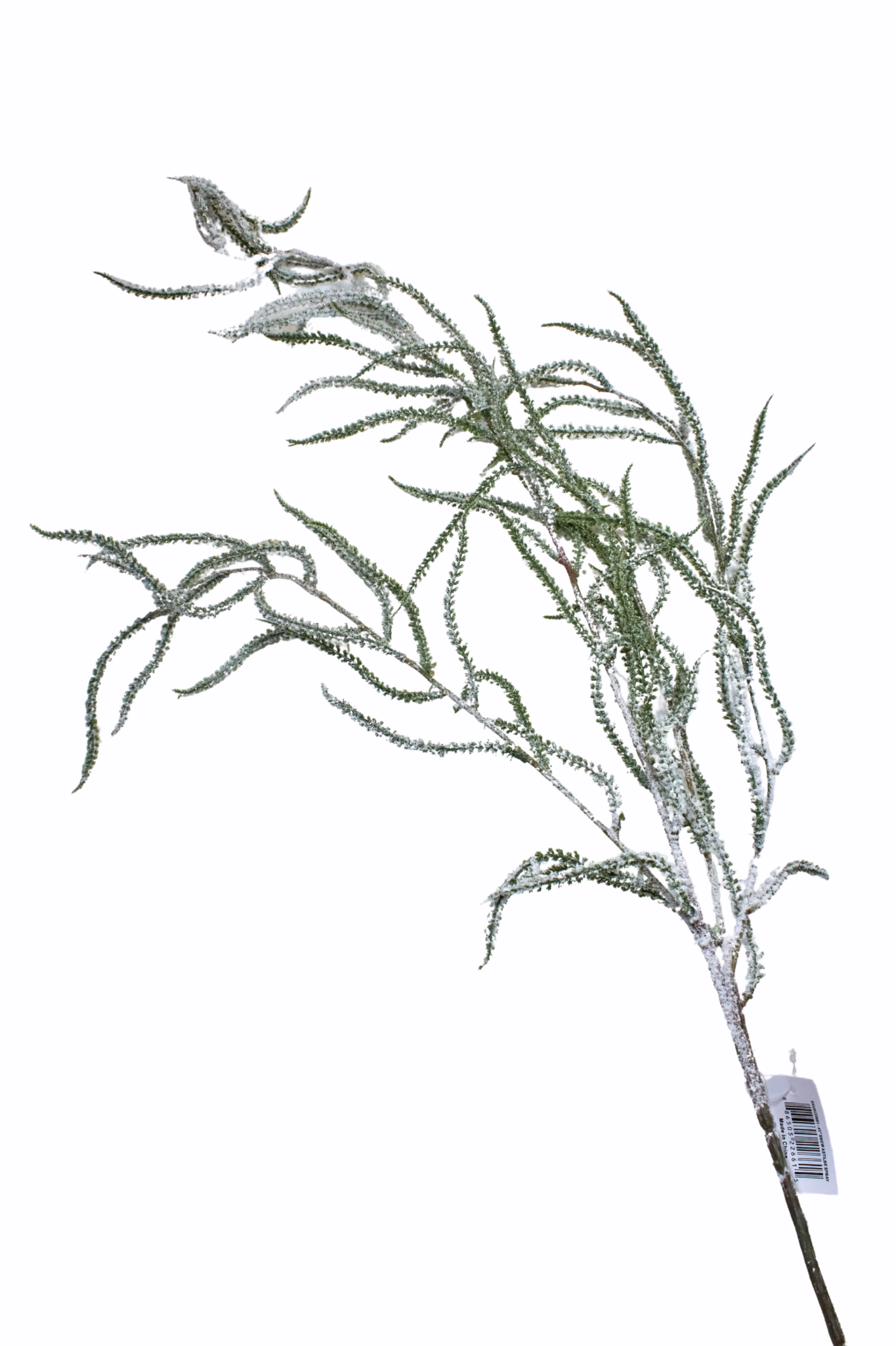 Decorative plant stem with green leaves on a white background