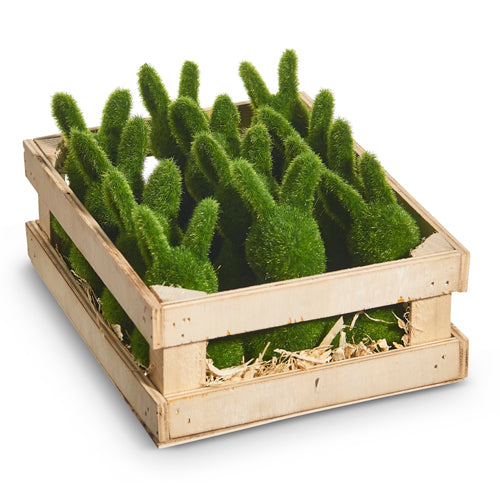 Moss Rabbits