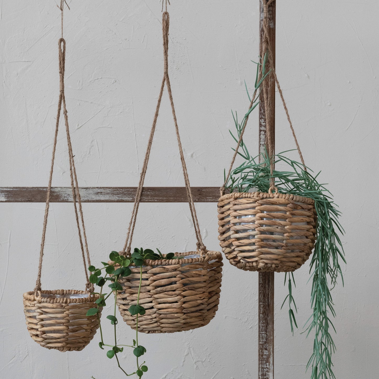 Hanging Hyacinth Planter
