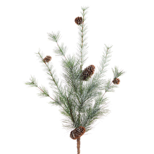 Ice Pine and Pinecone