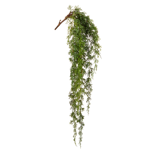Hanging greenery branch on a white background