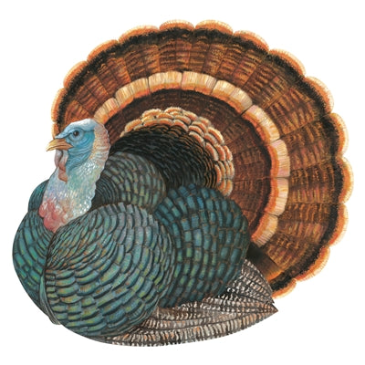 Illustrated paper placemat of a turkey with a large fan of feathers on a white background