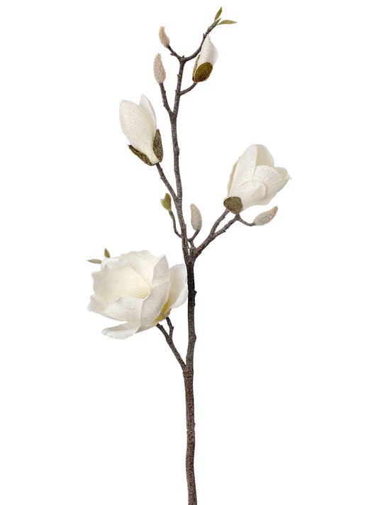 Frosted Magnolia Spray