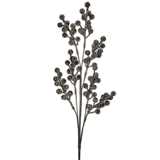 Decorative branch with black berries on a white background