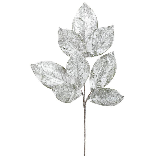 32" Iced Magnolia Leaf Spray