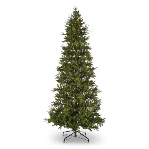 9' Snake Light Green Slim Spruce Tree