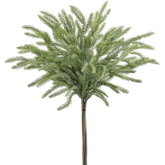 23" Spruce Bundle