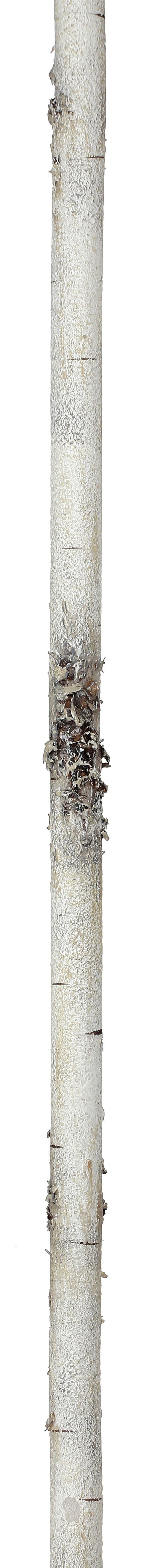 Wired Foam Birch Branch Garland