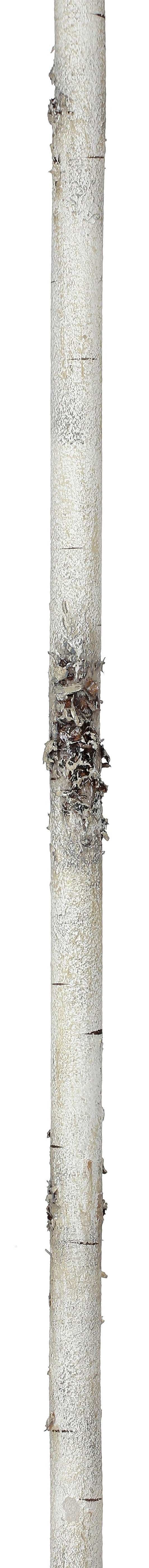 Wired Foam Birch Branch Garland
