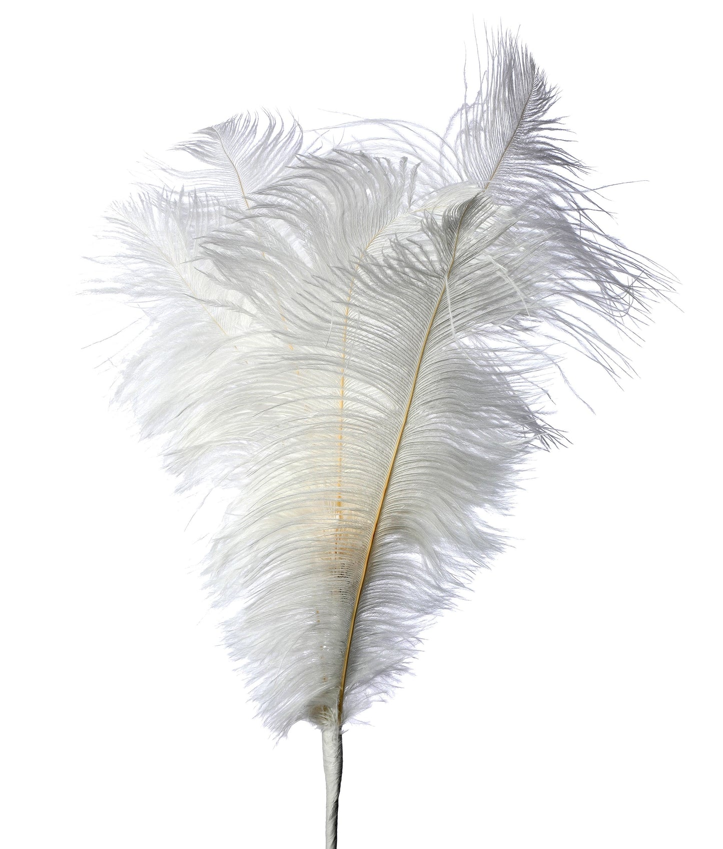 Ostrich Plume Feather Spray