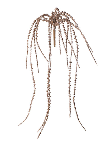 Senecio Hanging Vine