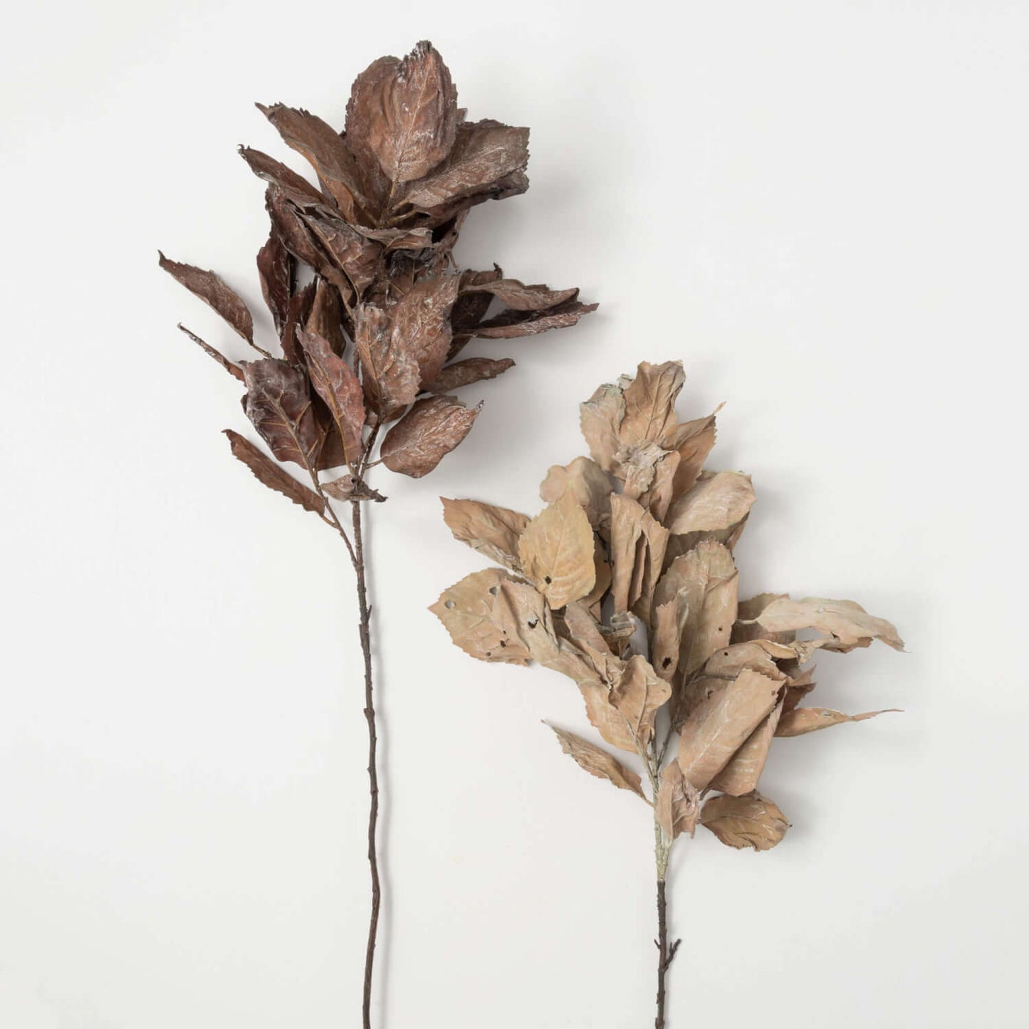 Dry Hydrangea Leaf Sray
