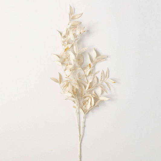 Ruscus Branch Stem