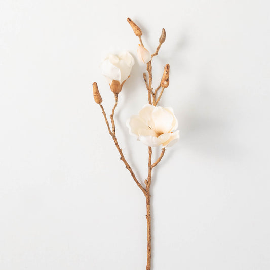 Magnolia Spray